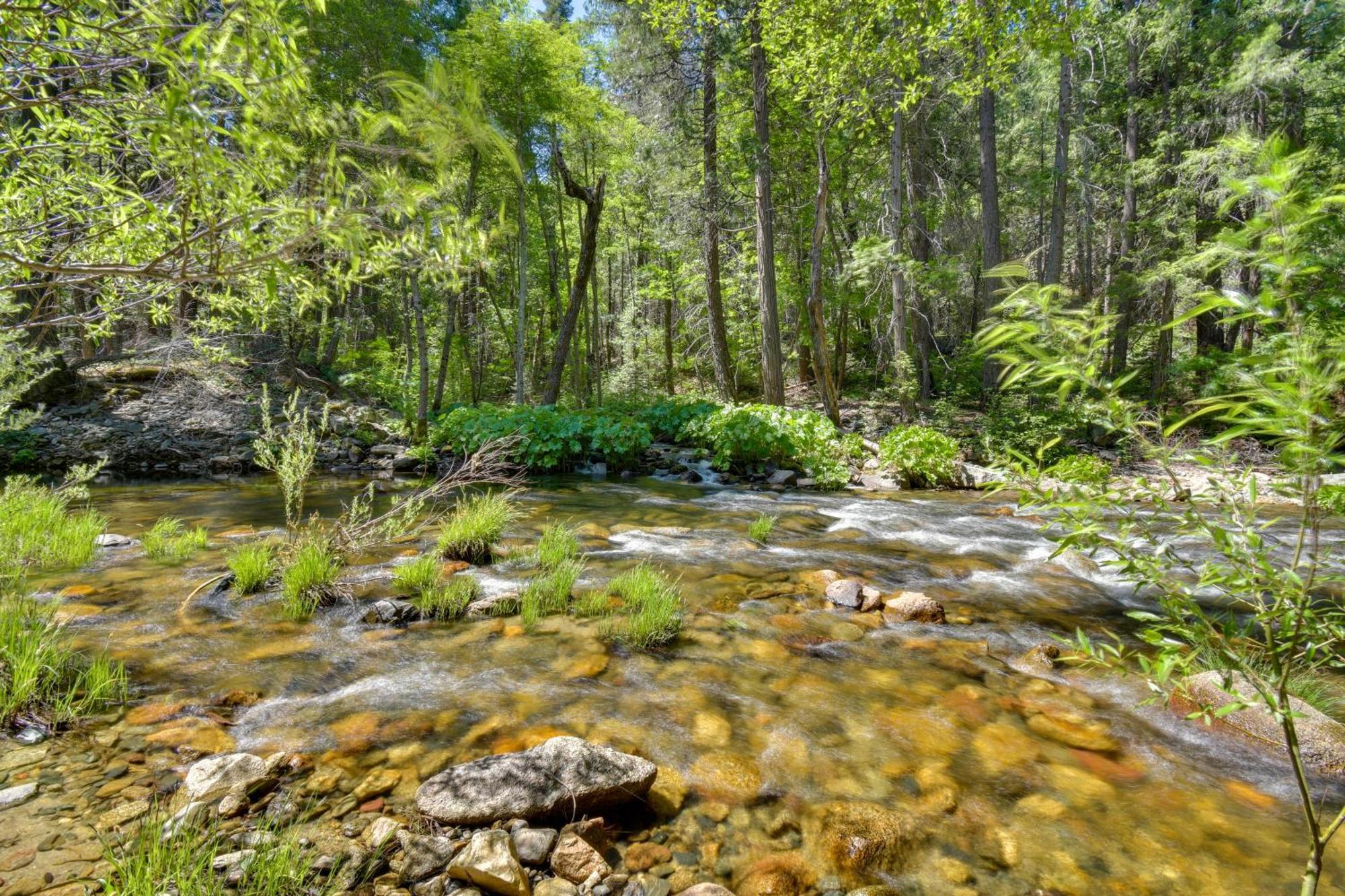 Riverfront Near Yosemite National Park! Groveland